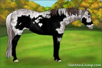 Horse Color:Liver Chestnut Ice Splash Frame 