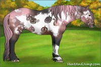 Horse Color:Brown Frame 