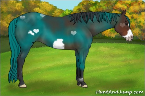 Horse Color:Bay Frame 