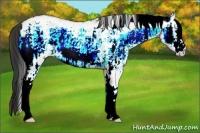 Horse Color:Plaid White Spotted Bay Ice Onyx Rabicano