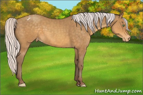 Horse Color:Silver Sable Cream Champagne Varnish