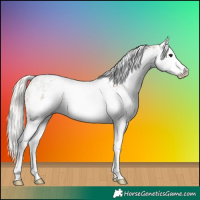 Horse Color:White Spotted Silver Bay Splash 
