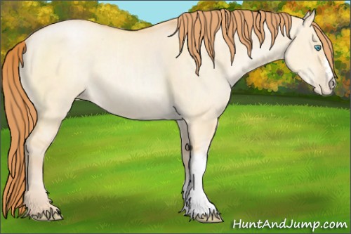Horse Color:Buckskin Pearl Dun 