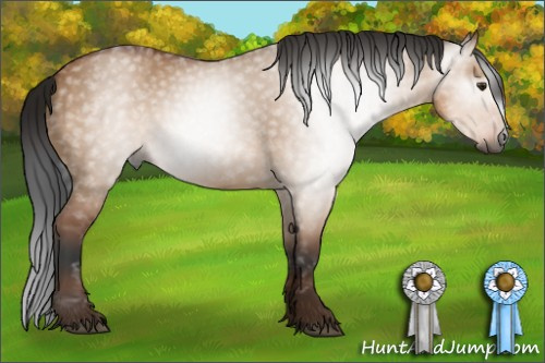 Horse Color:Gray Bay Dun 