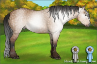 Horse Color:Gray Bay Dun