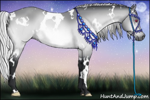 Horse Color:White Spotted Silver Bay Chinchilla 