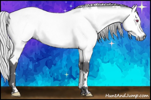 Horse Color:White Spotted Silver Buckskin Chinchilla 