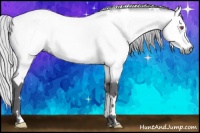 Horse Color:White Spotted Silver Buckskin Chinchilla
