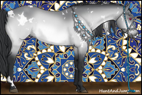 Horse Color:White Spotted Bay Chinchilla 