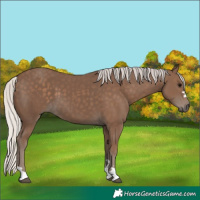 Horse Color:Silver Black 