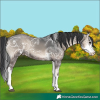Horse Color:Blue Onyx Ice Sabino