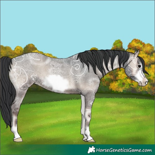 Horse Color:Blue Onyx Ice Roan Frame