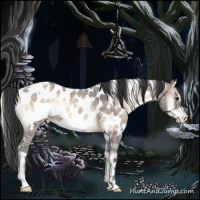Horse Color:White Spotted Brown Ice Roan Onyx Frame Appaloosa