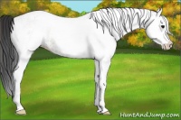 Horse Color:White Spotted Brown Ice Roan Onyx Rabicano 