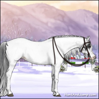 Horse Color:Chocolate Black Sabino Appaloosa Rabicano 