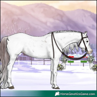 Horse Color:Chocolate Black Sabino Appaloosa Rabicano 