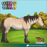 Horse Color:Bay Dun