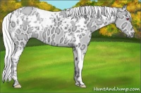 Horse Color:White Spotted Liver Chestnut Chinchilla Ice Tobiano