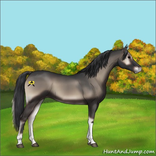 Horse Color:Blue Onyx Tobiano 