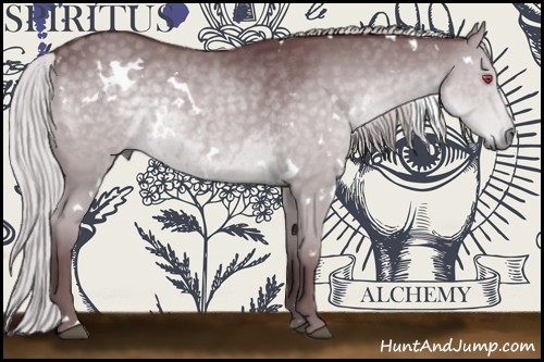 Horse Color:White Spotted Chocolate Silver Grullo Chinchilla 