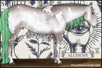 Horse Color:Painted White Spotted Chocolate Silver Blue Onyx Chinchilla Rabicano