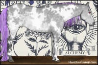 Horse Color:Painted White Spotted Silver Grullo Chinchilla Rabicano 