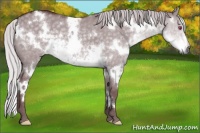 Horse Color:White Spotted Chocolate Silver Smoky Grullo Chinchilla 