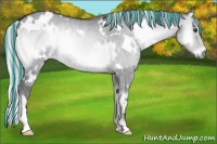 Horse Color:Painted White Spotted Silver Grullo Chinchilla Onyx Rabicano