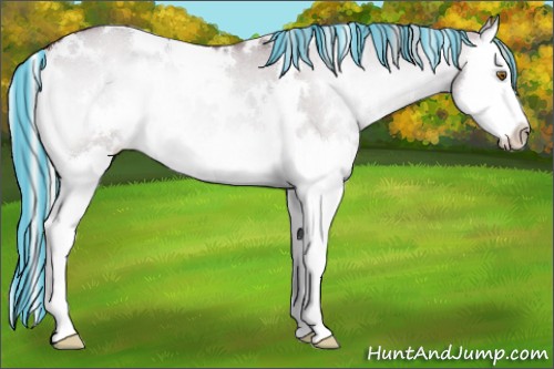 Horse Color:Painted White Spotted Chocolate Silver Grullo Chinchilla Onyx Splash Rabicano