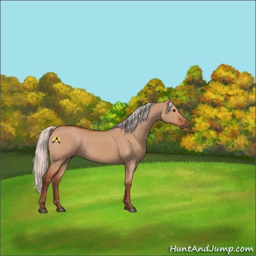 Horse Color:Silver Bay Dun 