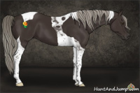 Horse Color:Liver Chestnut Mushroom Tobiano 
