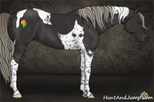Horse Color:Liver Chestnut Mushroom Tobiano 