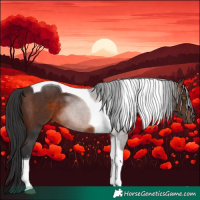 Horse Color:Brown Sabino Tobiano