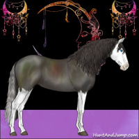 Horse Color:Smoky Black Splash