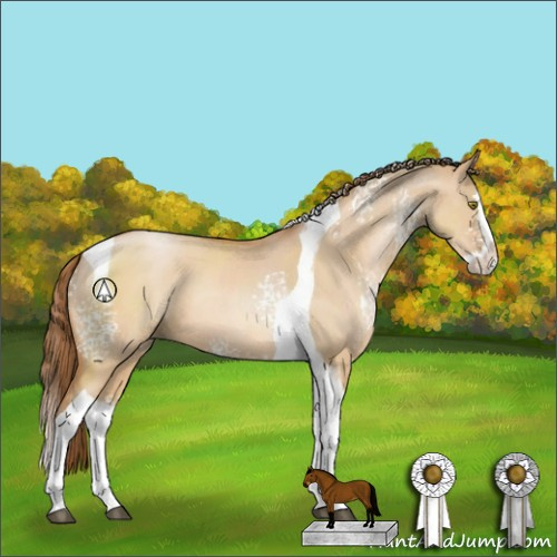 Horse Color:White Spotted Bay Pearl Dun Splash Tobiano 