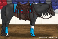 Horse Color:Brown Tobiano 