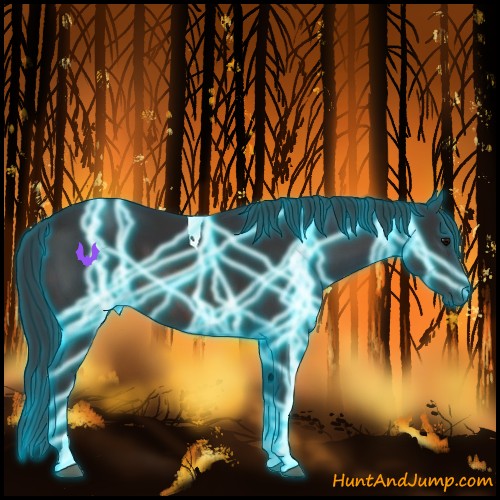 Horse Color:Thunderstruck Brown Tobiano 