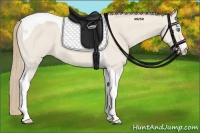 Horse Color:Smoky Creme Dun Tobiano