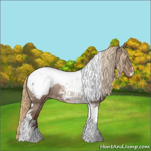 Horse Color:Liver Red Dun Tobiano Appaloosa 