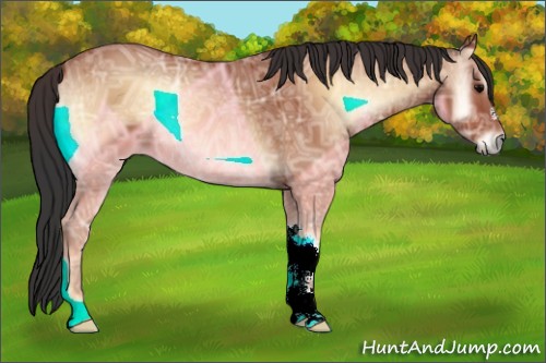 Horse Color:Bay Ice Onyx 