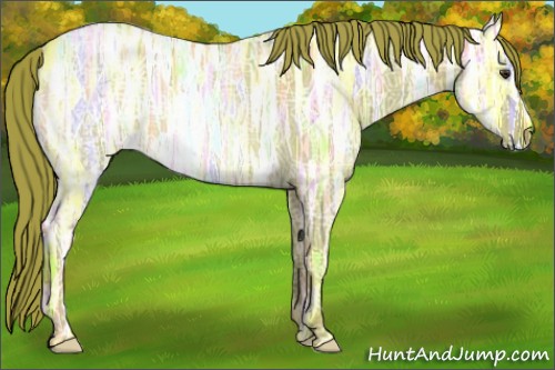Horse Color:Watercolor Red Ice Roan 