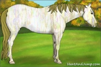 Horse Color:Watercolor Red Ice Roan 