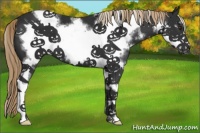 Horse Color:White Spotted Liver Chestnut Frame