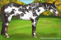 Horse Color:White Spotted Liver Chestnut Frame 