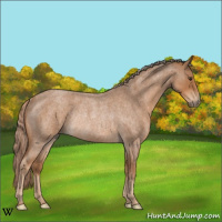 Horse Color:Red Roan Rabicano 