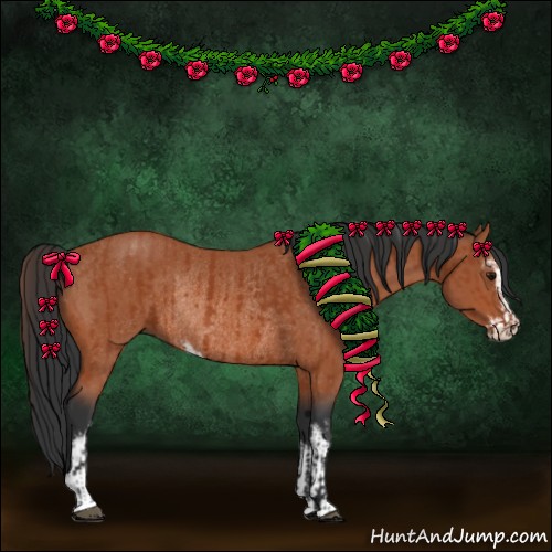 Horse Color:Bay Sabino Rabicano  and Bay Sabino Rabicano 