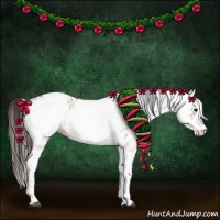 Horse Color:White Spotted Bay Dun Rabicano and White Spotted Bay Dun Appaloosa Rabicano