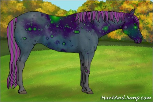 Horse Color:ERROR: UNKNOWN ANOMALY