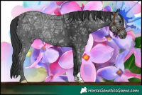 Horse Color:Black Ice 
