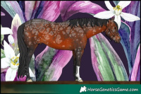 Horse Color:Brown Ice 